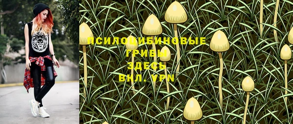 mix Верхний Тагил