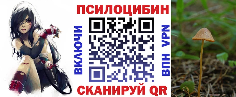 где купить наркотик  Пушкино  Псилоцибиновые грибы GOLDEN TEACHER 